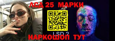 spice Тара