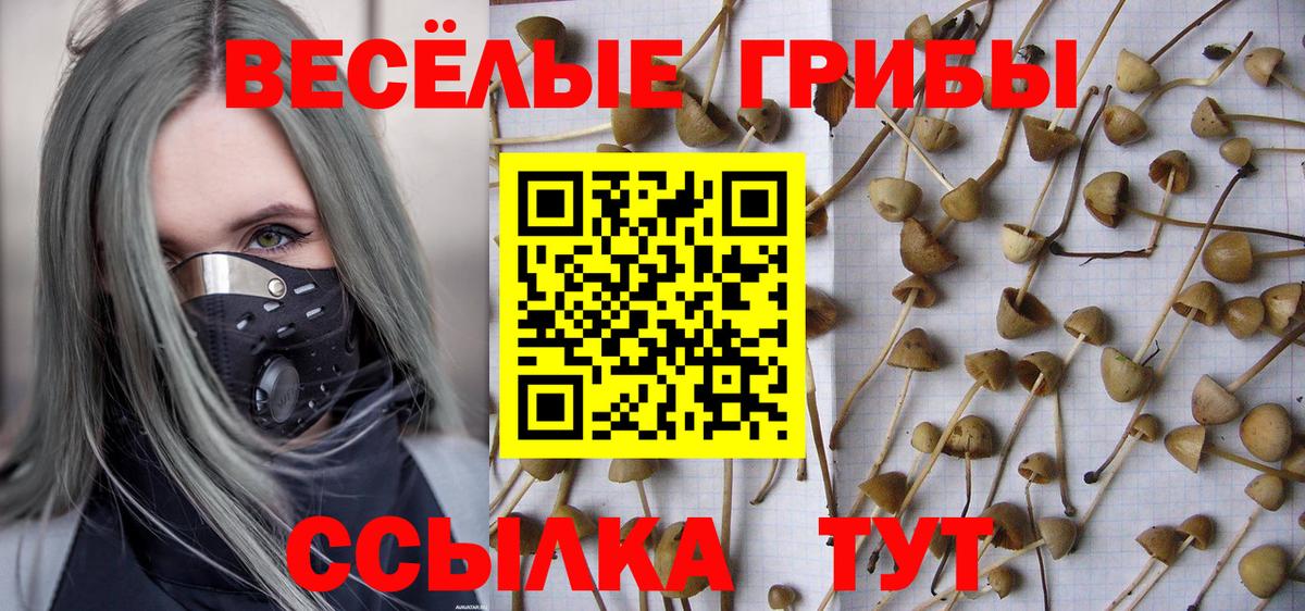 Галлюциногенные грибы Psilocybe  Вход с VPN  Новоалтайск 